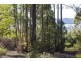 101 Devlyns Road, Birchs Bay TAS 7162