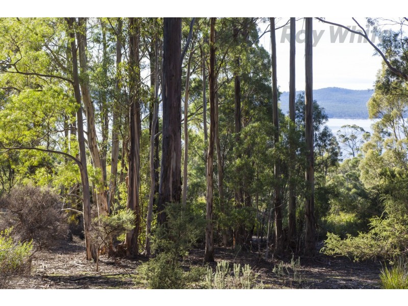 101 Devlyns Road, Birchs Bay TAS 7162