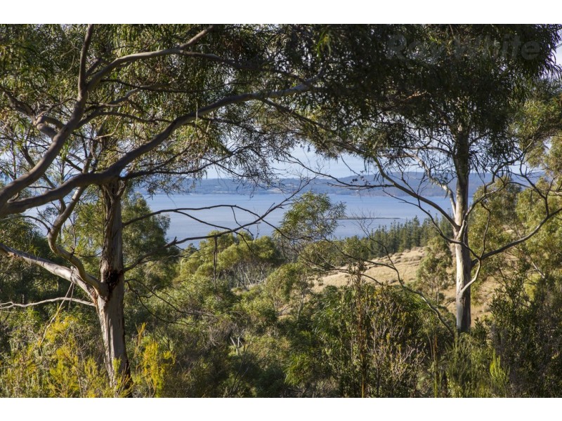 101 Devlyns Road, Birchs Bay TAS 7162
