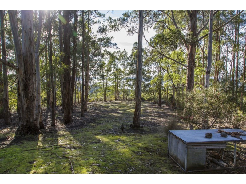 101 Devlyns Road, Birchs Bay TAS 7162