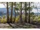 101 Devlyns Road, Birchs Bay TAS 7162