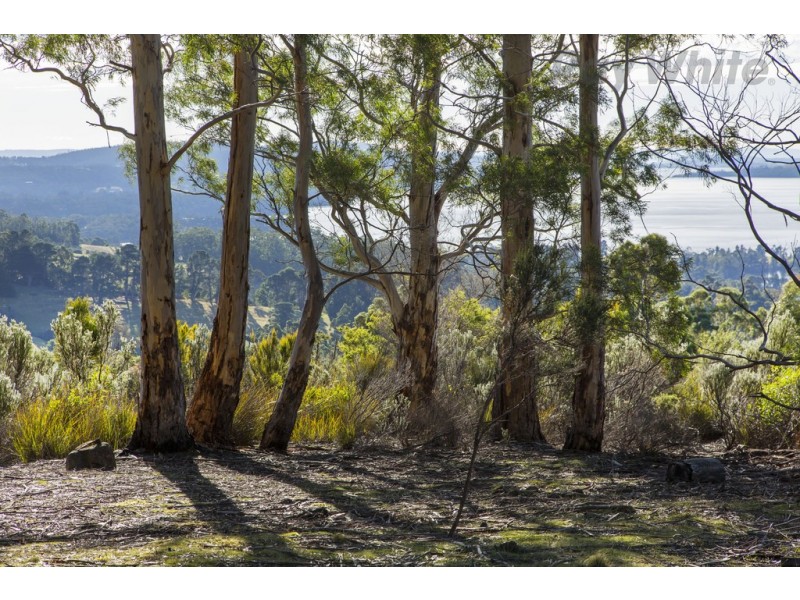 101 Devlyns Road, Birchs Bay TAS 7162