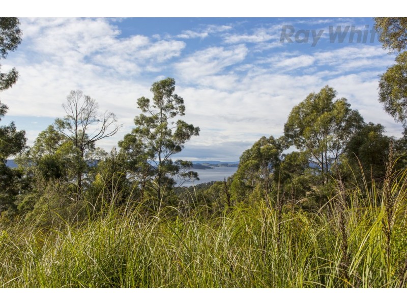 101 Devlyns Road, Birchs Bay TAS 7162