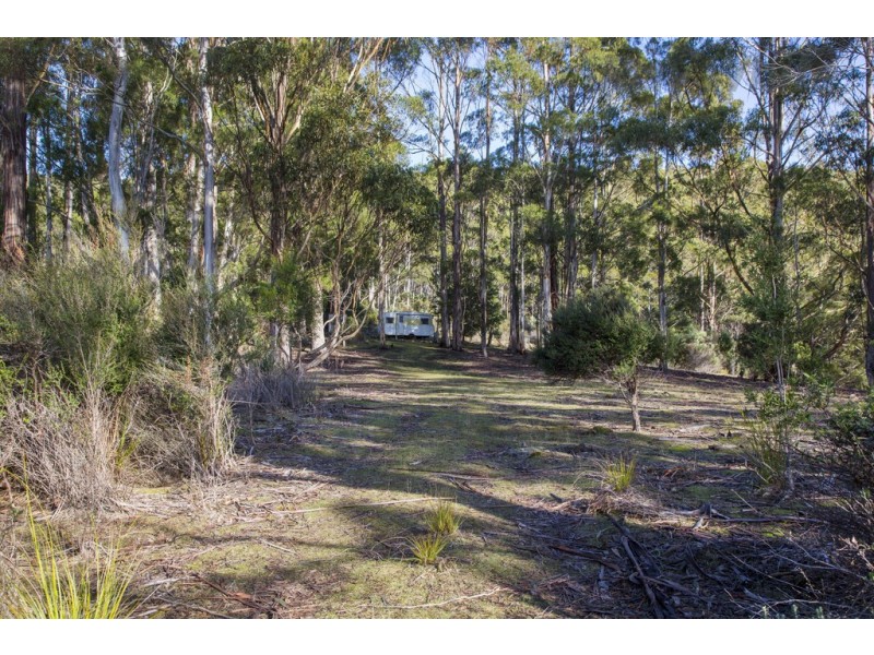 101 Devlyns Road, Birchs Bay TAS 7162