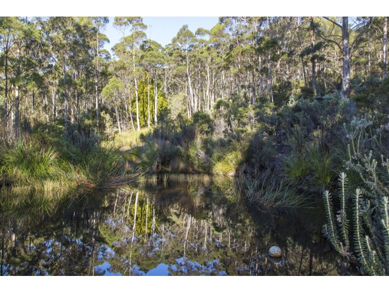 101 Devlyns Road, Birchs Bay TAS 7162