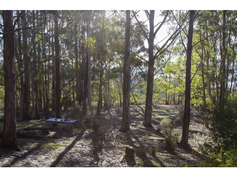 101 Devlyns Road, Birchs Bay TAS 7162