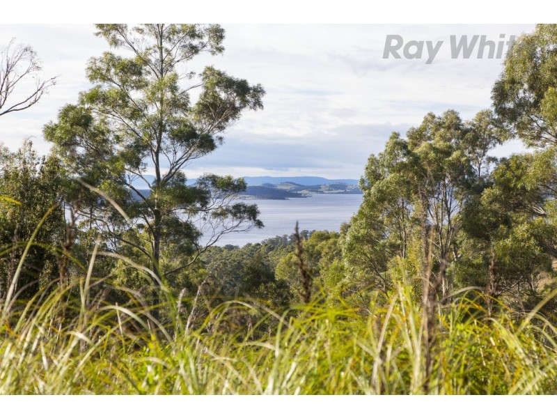 101 Devlyns Road, Birchs Bay TAS 7162