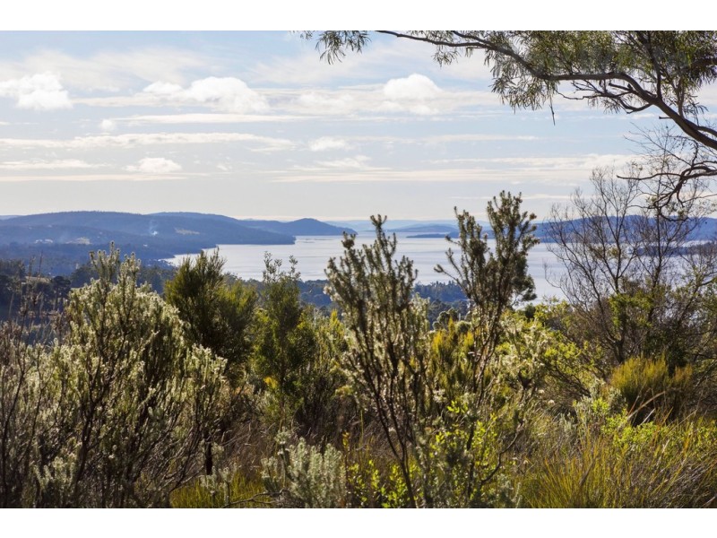101 Devlyns Road, Birchs Bay TAS 7162