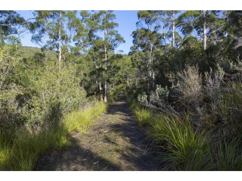 101 Devlyns Road, Birchs Bay TAS 7162