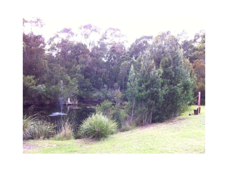 235 Ansons Bay Road, St Helens TAS 7216