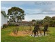 125 Mockridge Road, Clarendon Vale TAS 7019
