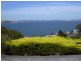 7 Pauldon Drive, Sandy Bay TAS 7005