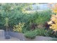 7 Pauldon Drive, Sandy Bay TAS 7005