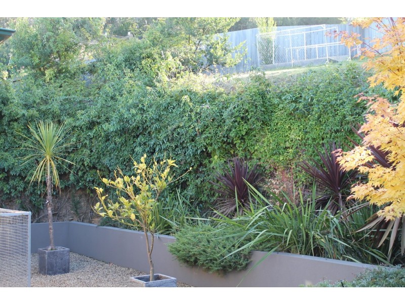 7 Pauldon Drive, Sandy Bay TAS 7005