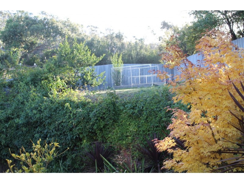 7 Pauldon Drive, Sandy Bay TAS 7005