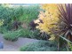 7 Pauldon Drive, Sandy Bay TAS 7005