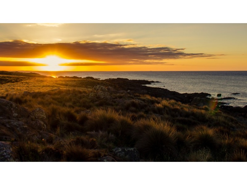 . Waterhouse Island, Waterhouse TAS 7262