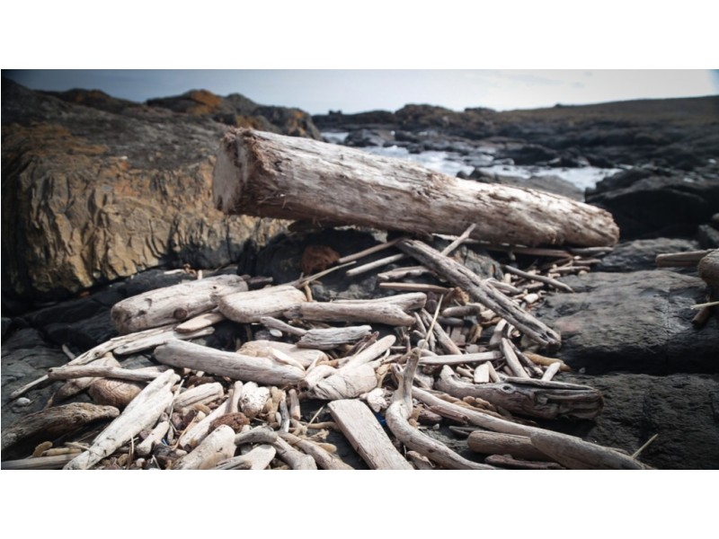. Waterhouse Island, Waterhouse TAS 7262