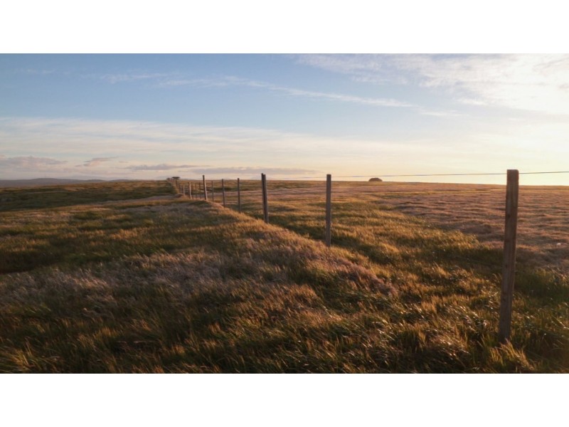 . Waterhouse Island, Waterhouse TAS 7262