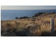 . Waterhouse Island, Waterhouse TAS 7262
