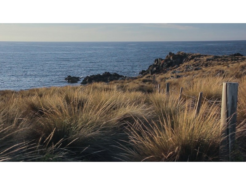 . Waterhouse Island, Waterhouse TAS 7262