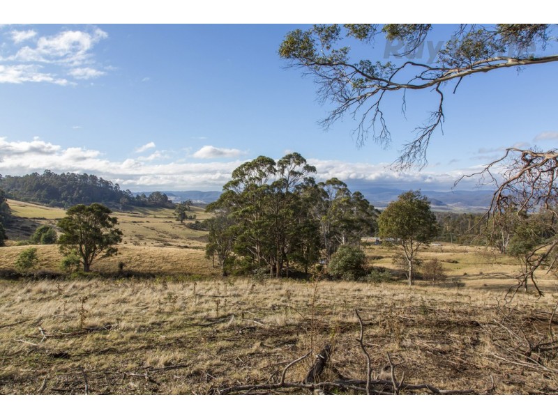 Lot 1 and 3 Yarlington Road, Colebrook TAS 7027