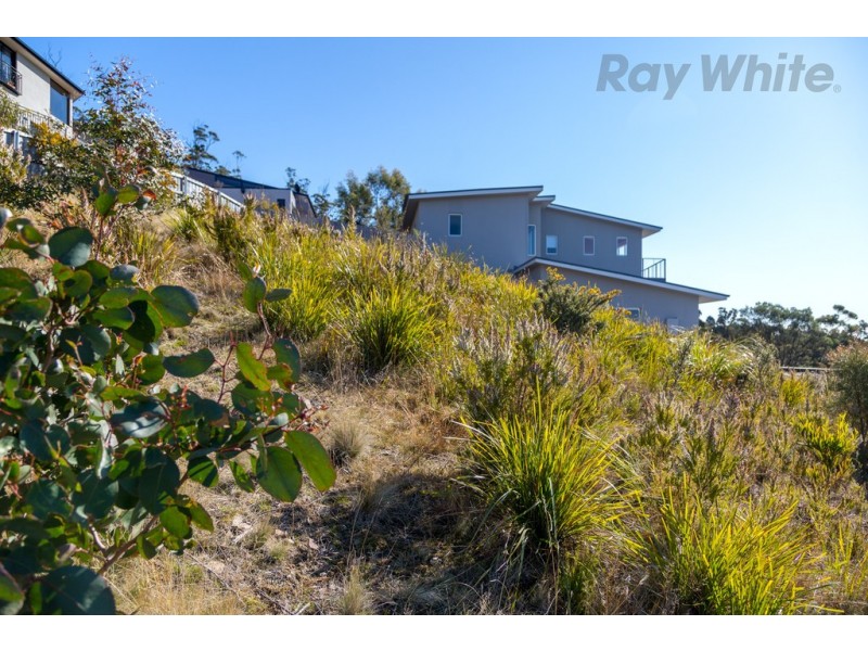 11 Hakea Drive, Tolmans Hill TAS 7007