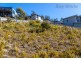 11 Hakea Drive, Tolmans Hill TAS 7007
