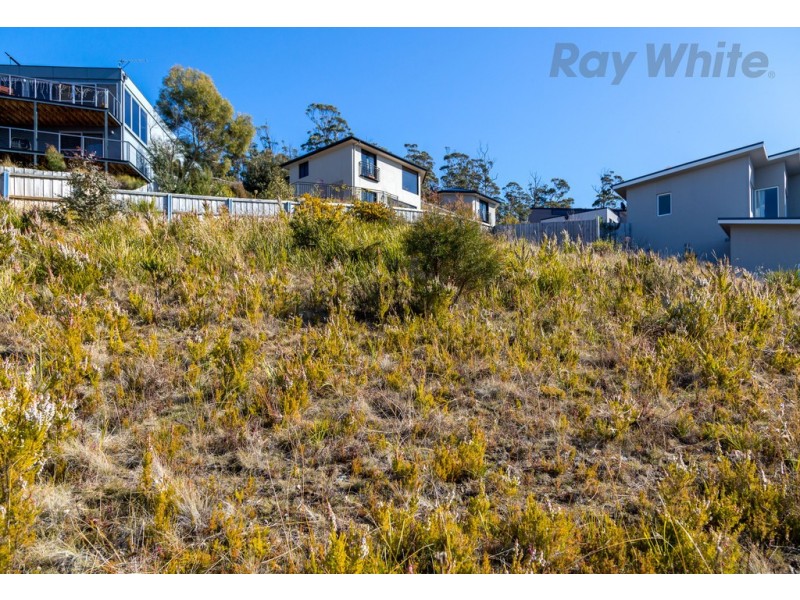 11 Hakea Drive, Tolmans Hill TAS 7007