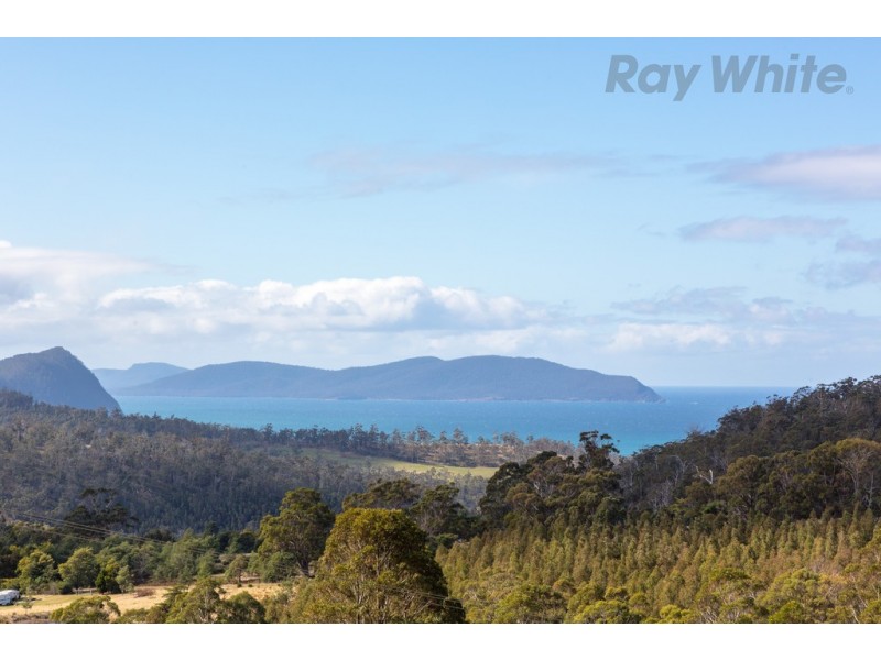 748 Bream Creek Road, Bream Creek TAS 7175