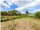 3 Malwood Place, Forcett TAS 7173