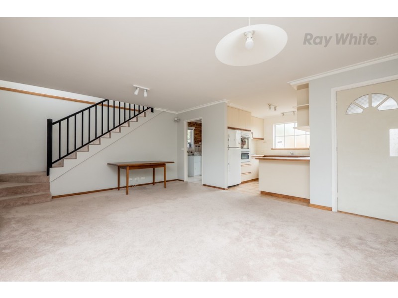 3/10 Quayle Street, Sandy Bay TAS 7005