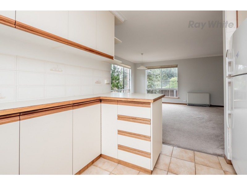 3/10 Quayle Street, Sandy Bay TAS 7005