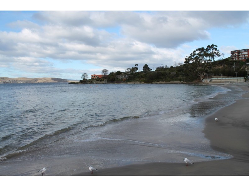 11/5 Beach Road, Sandy Bay TAS 7005