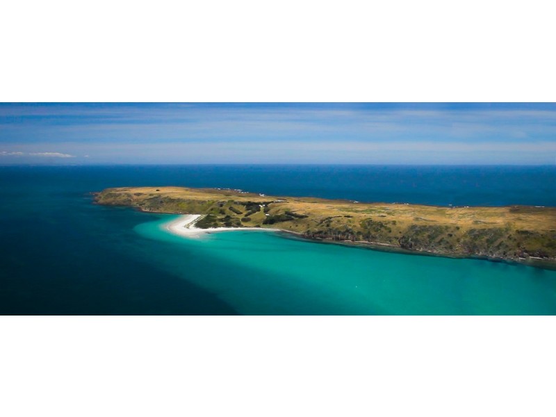 . Waterhouse Island, Waterhouse TAS 7262