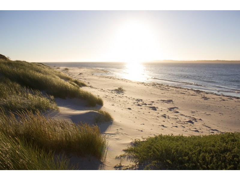 . Waterhouse Island, Waterhouse TAS 7262