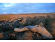 . Waterhouse Island, Waterhouse TAS 7262
