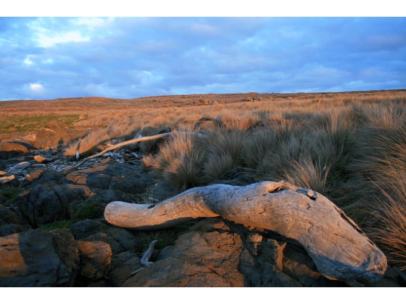 . Waterhouse Island, Waterhouse TAS 7262