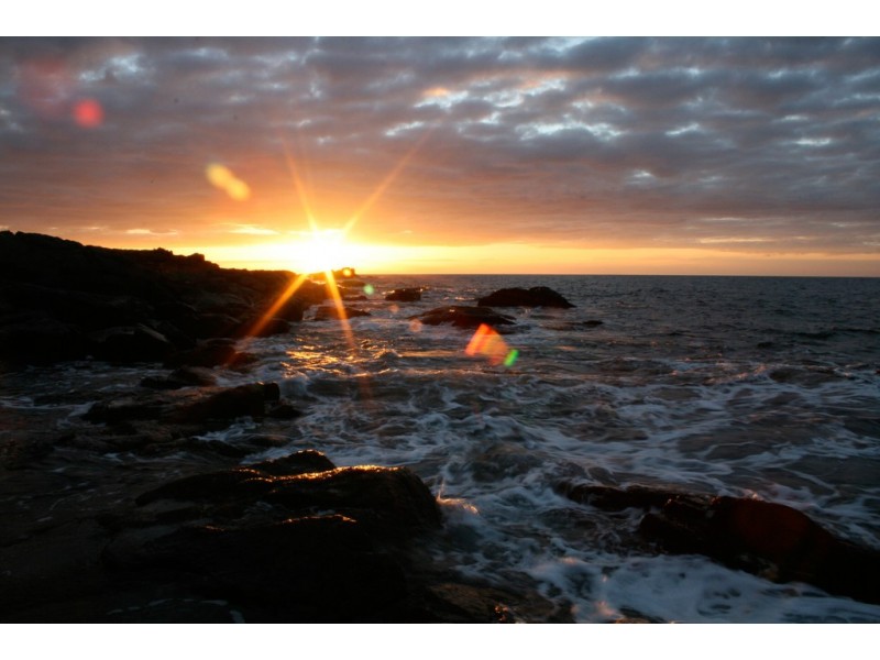 . Waterhouse Island, Waterhouse TAS 7262