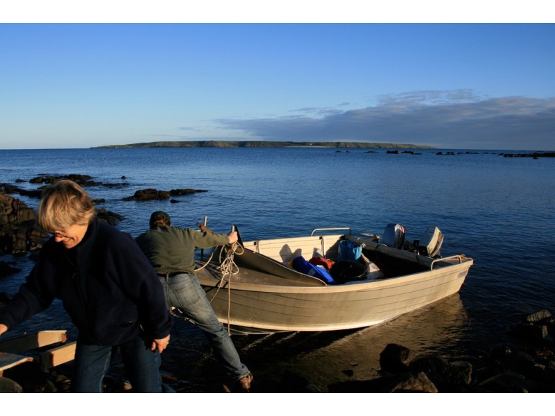 . Waterhouse Island, Waterhouse TAS 7262