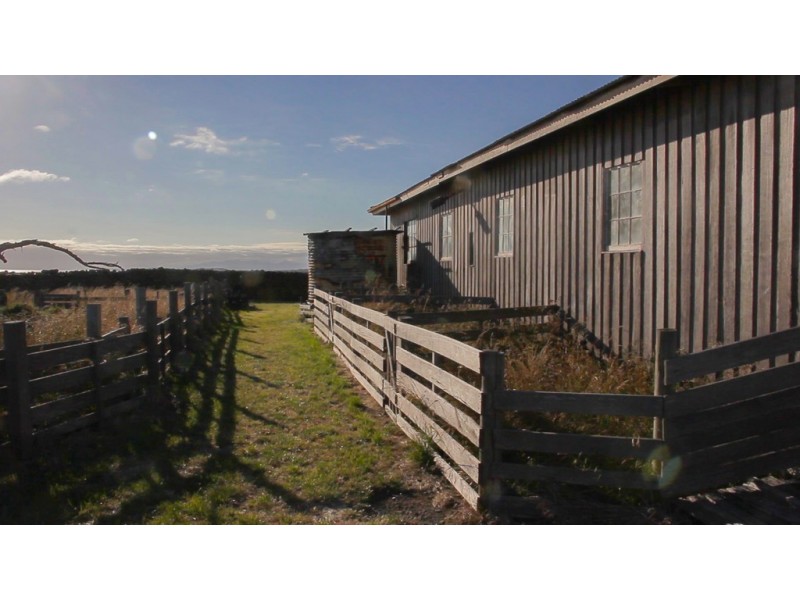 . Waterhouse Island, Waterhouse TAS 7262
