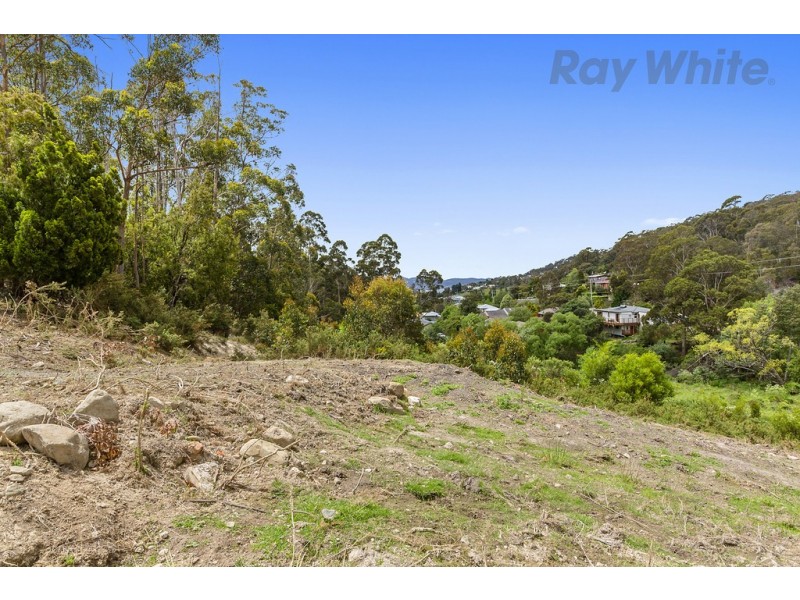 36 Avon Road, South Hobart TAS 7004