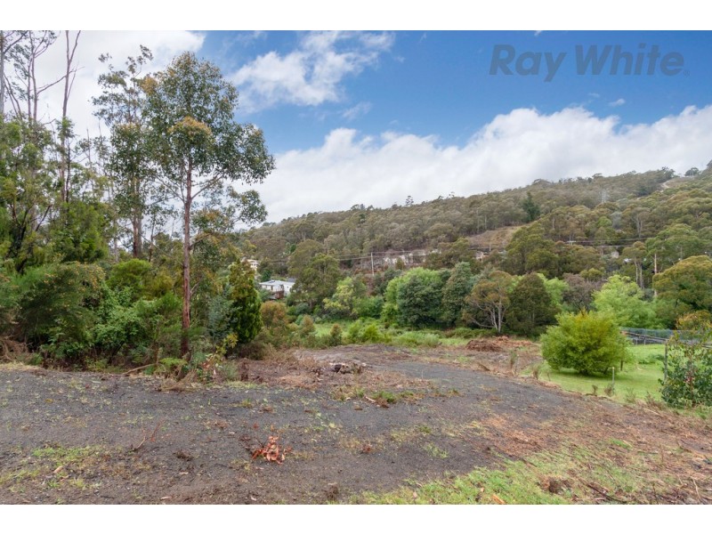 36 Avon Road, South Hobart TAS 7004