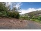 36 Avon Road, South Hobart TAS 7004