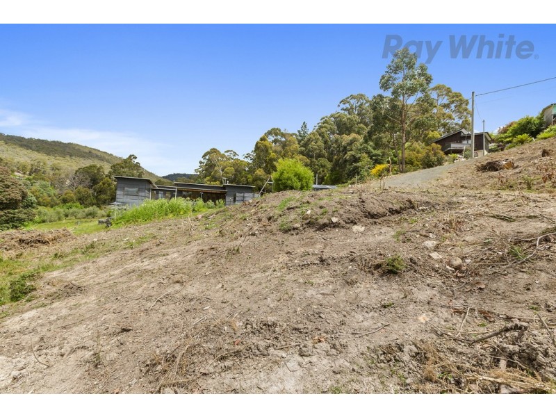 36 Avon Road, South Hobart TAS 7004
