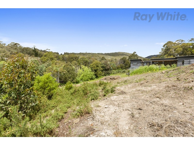 36 Avon Road, South Hobart TAS 7004