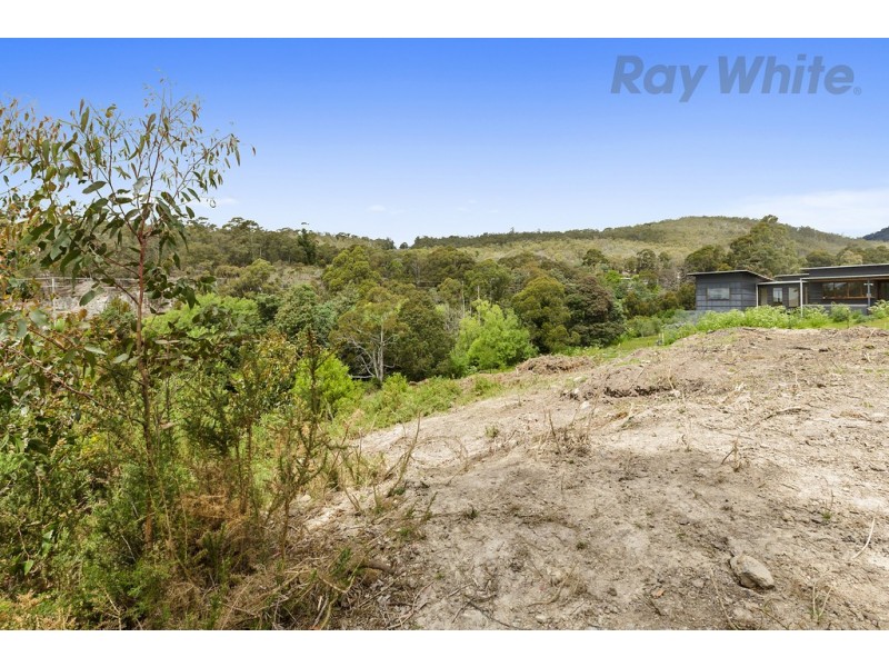 36 Avon Road, South Hobart TAS 7004