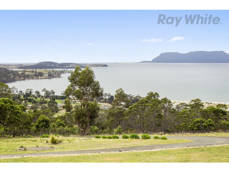 450 Fieldwick Lane, Orford TAS 7190
