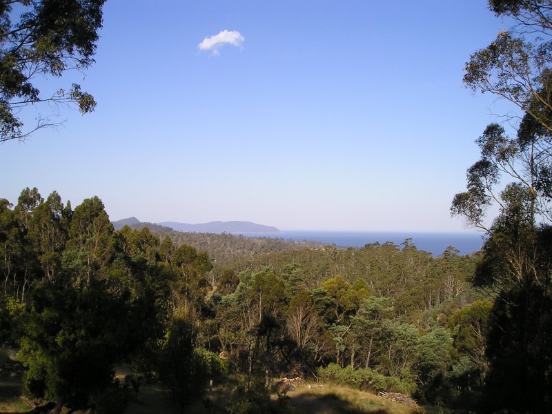 40 Wielangta Road, Bream Creek TAS 7175