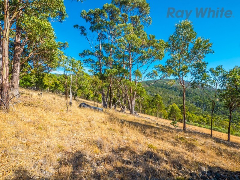 271 Tinderbox Road, Tinderbox TAS 7054